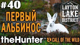 theHunter call of the wild #40  - Первый Альбинос - Лук, Арбалет, Винтовка - Медведь, Заяц, Олень