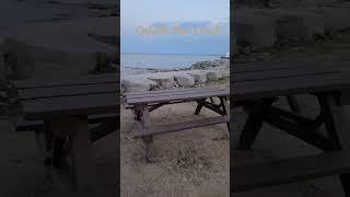  Truly Lovely &Serene! #shortsyoutube #canada #nature #relaxing