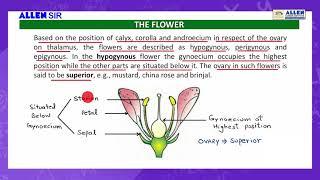 BIOLOGY Sample Video Lecture 'FLOWER' - ALLEN SIR for NEET (UG) 2021 Revision