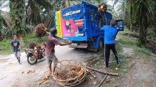 buah sawit trek parah