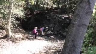 Creek crossing. Little girl falls. March 11, 2014