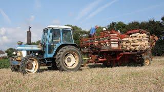 Rare classic 1982 County 7610-Four-E (Ford based) | Grimme Cavalier 80 | Potato harvesting