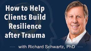 How to Help Clients Build Resilience after Trauma with Richard Schwartz