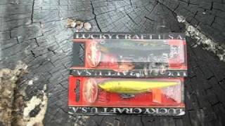 Lucky Craft Sammy 100 vs Sammy 105