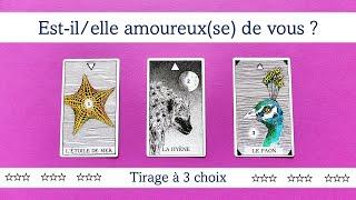 Cette personne est-elle amoureuse de vous? - Tirage à 3 choix ⭐🪸