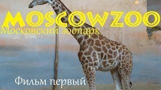 MoscowZoo - Московский зоопарк. Фильм первый