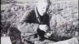 colonel bagshot - six day war - with lyrics