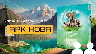 АРК НОВА (ARK NOVA) – правила игры и летсплей, играем в настольную игру вдвоём @theboardgames