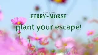 Plant Your Escape™️—Wildflower Seed Mixes! (Half Length - 18 secs)