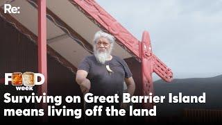 Surviving on Great Barrier Island means living off the land