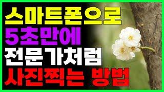 스마트폰으로 5초만에 전문가처럼 사진찍기 (쉽게 아웃포커싱 하는 방법)