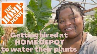 BIG BOX PLANT SHOPPING at one of the cleanest Home Depot