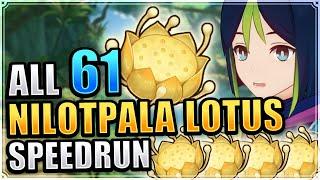 ALL 61 Nilotpala Lotus Locations EFFICIENT & FAST ROUTE Genshin Impact Tighnari Ascension Material