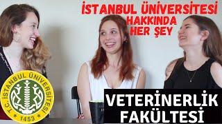 İSTANBUL ÜNİVERSİTESİ'NDE VETERİNERLİK OKUMAK