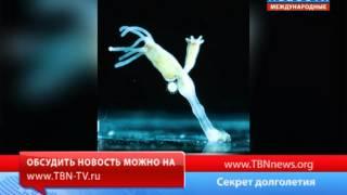 Секрет долголетия