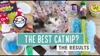 The Best Catnip?