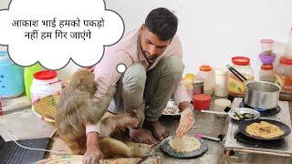 मंकी रानी का बैठने का तरीका।। monkey Rani Akash jabardasth funny।। @AkashRBL783