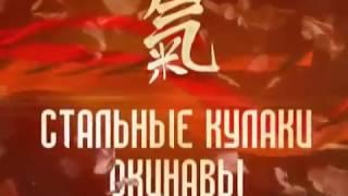 Стальные кулаки Окинавы avi