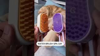 3-in-1 Steamy Pet Grooming Brush for Cats and Dogs - Hair Removal, Cleaning, and Massage. #cat #dog