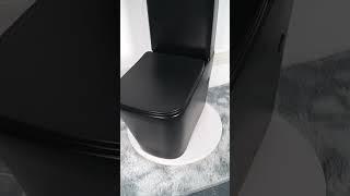 #694 Floor mounted rimless toilet with strong flushing power !