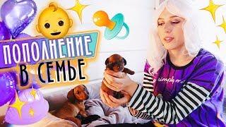 У нас ПОПОЛНЕНИЕ!!! / #ЯЖМАТЬ Зюта EDITION