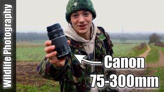 Testing the Canon 75-300mm Lens in the Real World | Wildlife Photography Vlog and Review