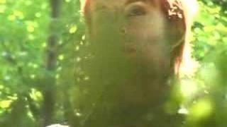 Tana French: In The Woods