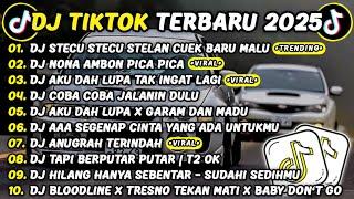 DJ TIKTOK TERBARU 2025DJ STECU STECU STELAN CUEK REMIXDJ NONA AMBON PICA PICA FULL ALBUM