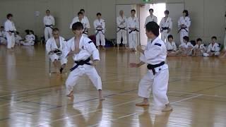 Shorinji Kempo (JAPAN) Cool fighters