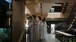 Lucia Songs in Gothenburg, Sweden – December 2024 (Part 8 of 9)