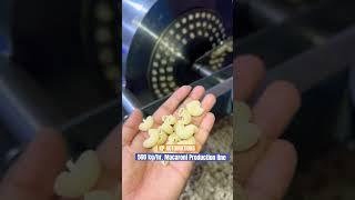 500 Kg per hour macaroni production line | macaroni making machine | #macaroniplant | macaroni pasta