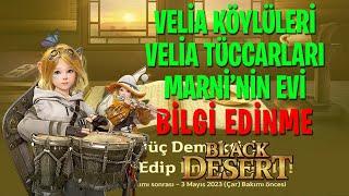 [Etkinlik] Velia Köylüleri | Velia Tüccarları | Marni'nin Evi Bilgileri Nasıl alınır? #BDORehber47