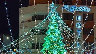 ASÍ ADORNARON de NAVIDAD en SAN FCO. Del RINCÓN, GTO. 🫶