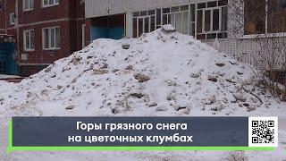 Горы грязного снега на цветочных клумбах