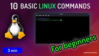 10 Basic Linux Commands You Need to Know