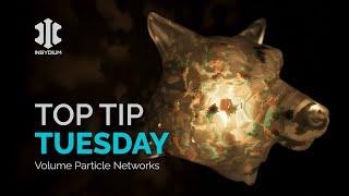 Top Tip Tuesday - Volume Particle Networks