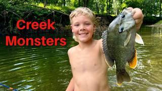 Huge Creek Monsters in the Swimming Hole!