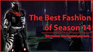 The Best Fashion of Season 14 So Far... (Destiny Fashion Ep.17)