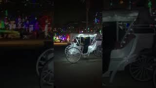 One Horse Sleigh! ️ #horsecarriage #christmas #lights