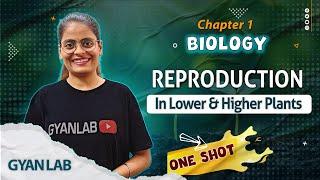 One Shot Lecture | Chp - 1 | Reproduction in Plants | Gyanlab | Anjali Patel #oneshotlecture