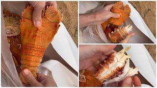 How to De-Shell Seafood | Moreton Bay Bug | Balmain Bug | Slipper Lobster | Crayfish | Hack