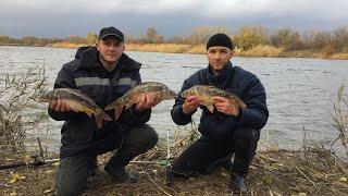 РЫБАЛКА В НОЯБРЕ!!! НАШЁЛ КАРПОВЫЙ ПРУД В ДЕРЕВНЕ!!! ТОПОВЫЙ ПОДСАК ВЫРУЧИЛ!!!