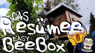 DAS Resümee zur EasyBeebox