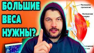 Почему большие веса важны для силы, но не для роста мышц? Узнай от Апокрифа! [4K]