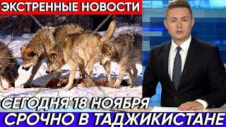 Срочно 18 Февраля ! Экстренные Новости В Таджикистане Стая Волков  Уничтожили Скотов