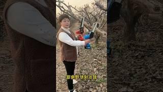 Check out Japan's strange tree-cutting machine #tranding