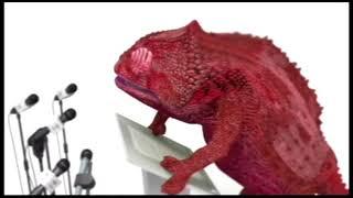 Dave the Chameleon (first Labour Party Election broadcast)