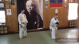 Uechi ryu karate / open hands / Kaishu waza / Boshiken and Kakushiken