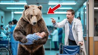 What REALLY Happens When A Mother Bear Meets A Human Baby