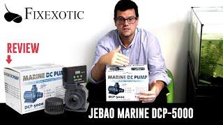 FIXEXOTIC - JECOD/JEBAO DCP-5000 Marine SINE wave technology (Review)